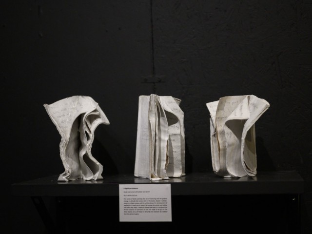 IBDP Visual Arts exhibition - 021 (Medium)